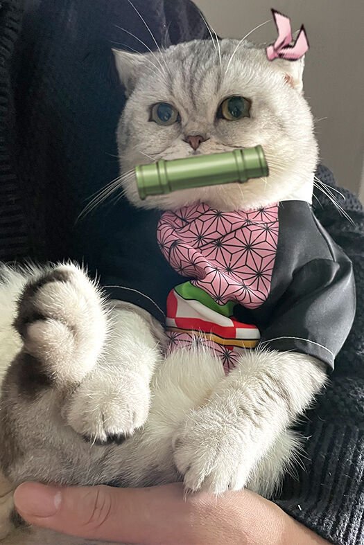 Demon Slayer Nezuko Costume For Cats and Small Dogs