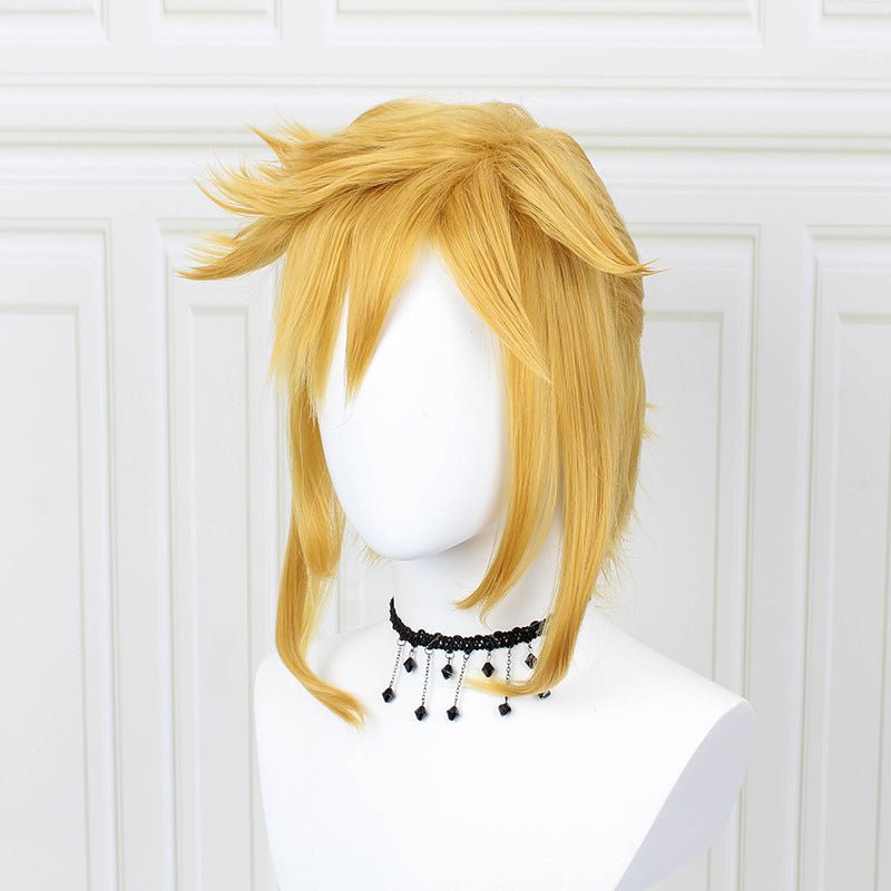 Link Cosplay Wig. Legend of Zelda