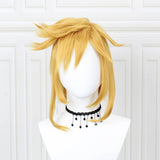 Link Cosplay Wig. Legend of Zelda