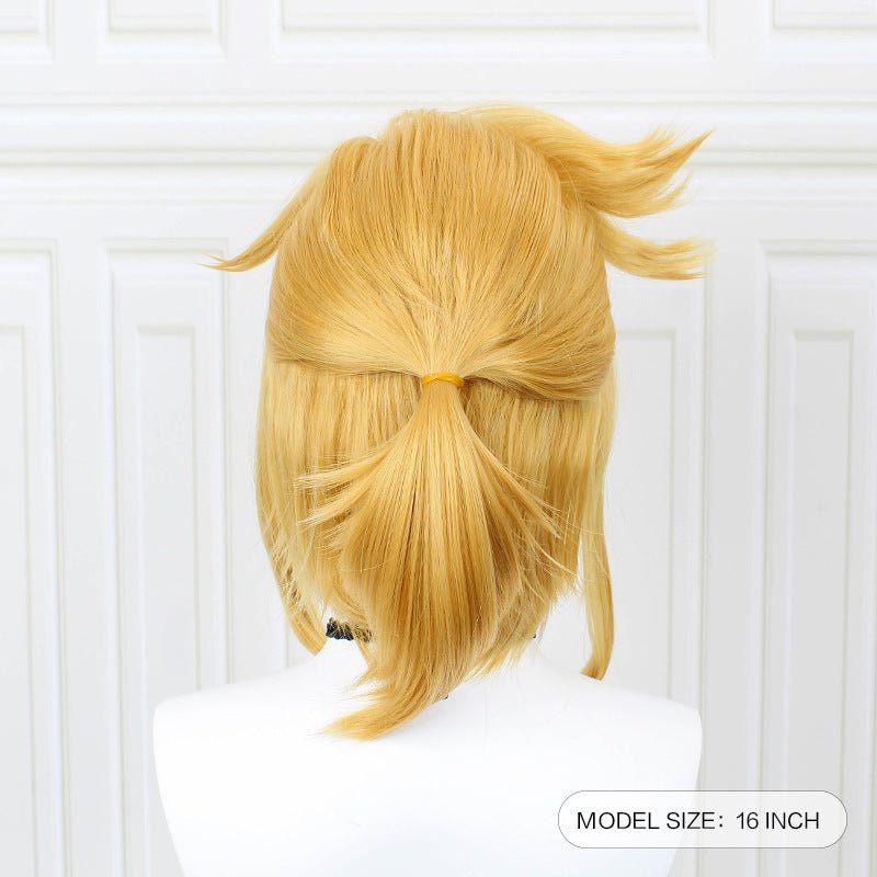 Link Cosplay Wig. Legend of Zelda
