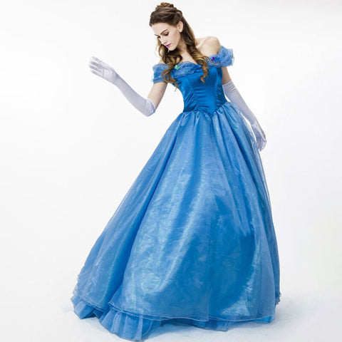 Adult Cinderella Dress Costume