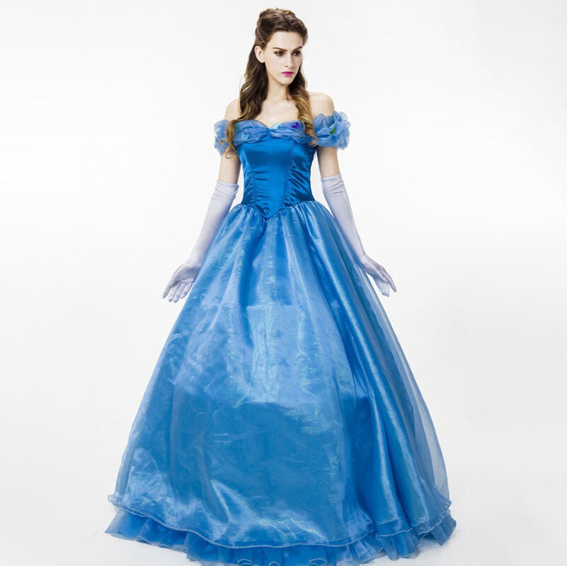 Adult Cinderella Dress Costume