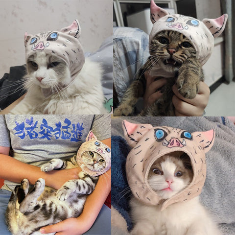 Inosuke Hashibira Cap For Cats
