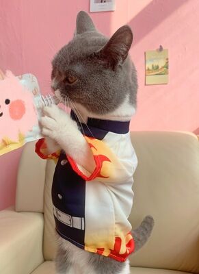 Kyojuro Rengoku Kimono Costume for Cat and Small Dogs