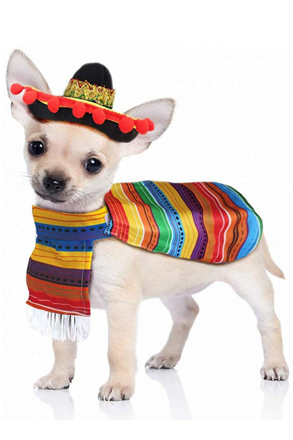 Cinco De Mayo Poncho And Hat Costumes For Pets