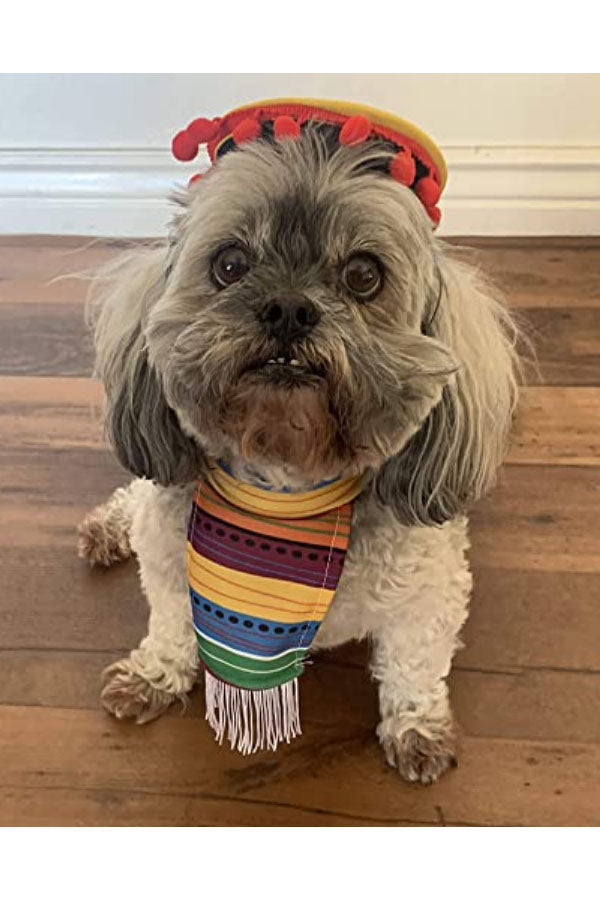 Cinco De Mayo Poncho And Hat Costumes For Pets